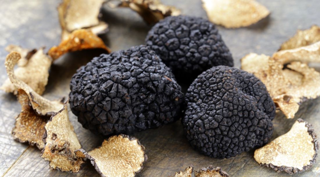 magic truffle